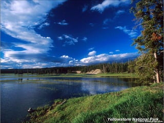 Yellowstone National Park 