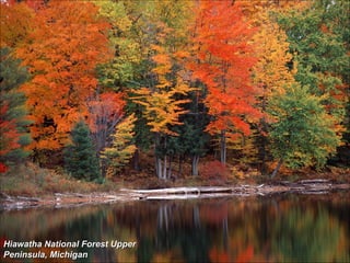 Hiawatha National Forest Upper Peninsula, Michigan 