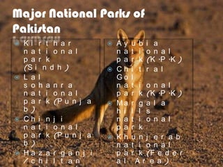 Major National Parks of
Pakistan








Ki r t h a r
n a t i o n a l
p a r k
(S i n d h )
L a l
s o h a n r a
n a t i o n a l
p a r k (P u n j a
b )
Ch i n j i
n a t i o n a l
p a r k (P u n j a
b )
Ha z a r g a n j i
/ c h i l t a n









Ay
n a
p a
Ch
Go
n a
p a
Ma
h i
n a
p a
Kh
n a
p a
a l

u b i a
t i o n a l
r k (K .P .K )
i t r a l
l
t i o n a l
r k (K .P .K )
r g a l a
l l s
t i o n a l
r k
u n j e r a b
t i o n a l
r k (F e d e r
Ar e a )

 