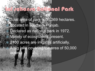 Lal sohanra National Park
Total area of park is 31,369 hectares.
 Located in southern Punjab.
 Declared as national park in 1972.
 Variety of ecosystems present.
 2100 acres are irrigates artificially.
 A big lake covering the area of 50,000
acres.


 