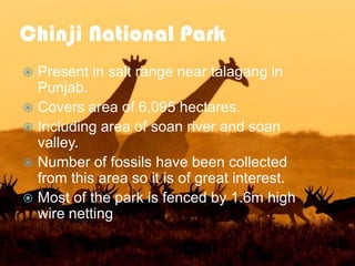 Chinji National Park
Present in salt range near talagang in
Punjab.
 Covers area of 6,095 hectares.
 Including area of soan river and soan
valley.
 Number of fossils have been collected
from this area so it is of great interest.
 Most of the park is fenced by 1.6m high
wire netting


 