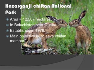 Hazarganji chiltan National
Park
Area = 12,567 hectares.
 In Baluchistan near Quetta.
 Established in 1978.
 Main objective is “to save chiltan
markhor.”


 