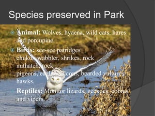 Species preserved in Park
 Animal: Wolves, hyaena, wild cats, hares

and porcupine.
 Birds: see-see patridges

chukor, wabbler, shrikes, rock
nuthatch, rock
pigeons, eagles, falcons, bearded vultures
hawks.
 Reptiles: Monitor lizards, geckoes, cobras

and vipers.

 