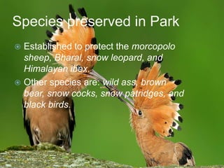 Species preserved in Park
Established to protect the morcopolo
sheep, Bharal, snow leopard, and
Himalayan ibex.
 Other species are: wild ass, brown
bear, snow cocks, snow patridges, and
black birds.


 