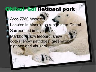 Chitral- Gol National park
Area 7780 hectares.
 Located in hindukush range near Chitral.
 Surrounded in high peaks.
 Markhor, snow leopard, snow
cocks, snow patridges, greenwood
pigeons and chukors.


 