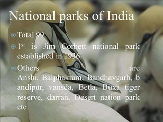 National parks of India
 Total

99
 1st is Jim Corbett national park
established in 1936.
 Others
are
Anshi, Balphakram, Bandhavgarh, b
andipur, vansda, Betla, Buxa tiger
reserve, darrah, Desert nation park
etc.

 