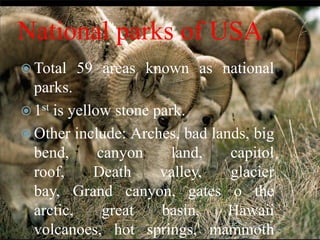 National parks of USA
 Total

59 areas known as national

parks.
 1st is yellow stone park.
 Other include: Arches, bad lands, big
bend,
canyon
land,
capitol
roof,
Death
valley,
glacier
bay, Grand canyon, gates o the
arctic,
great
basin,
Hawaii
volcanoes, hot springs, mammoth

 