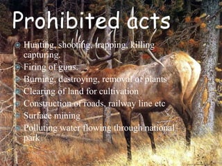 Prohibited acts
Hunting, shooting, trapping, killing
capturing.
 Firing of guns.
 Burning, destroying, removal of plants
 Clearing of land for cultivation
 Construction of roads, railway line etc
 Surface mining
 Polluting water flowing through national
park


 