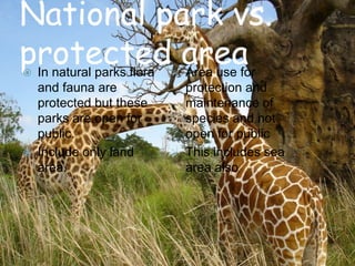 National park vs.
protected area




In natural parks flora
and fauna are
protected but these
parks are open for
public.
Include only land
area.





Area use for
protection and
maintenance of
species and not
open for public
This includes sea
area also

 