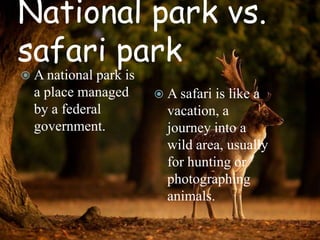 National park vs.
safari park
 A national park

is
a place managed
by a federal
government.

 A safari

is like a
vacation, a
journey into a
wild area, usually
for hunting or
photographing
animals.

 