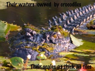 Their waters owned by crocodiles 
Their scales as thick as tiles 
 