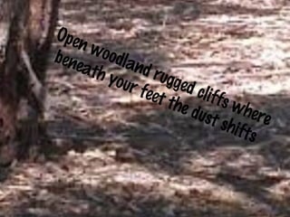 Open woodland rugged cliffs where 
beneath your feet the dust shifts 
 