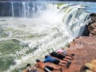 walk to 
bush might 
swim and were you Planagale kangaroo 
People fish, Solea and see a In  