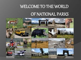 WELCOME TO THE WORLD
OF NATIONAL PARKS
 