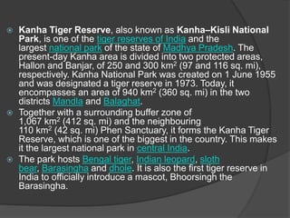  Kanha Tiger Reserve, also known as Kanha–Kisli National
Park, is one of the tiger reserves of India and the
largest national park of the state of Madhya Pradesh. The
present-day Kanha area is divided into two protected areas,
Hallon and Banjar, of 250 and 300 km2 (97 and 116 sq. mi),
respectively. Kanha National Park was created on 1 June 1955
and was designated a tiger reserve in 1973. Today, it
encompasses an area of 940 km2 (360 sq. mi) in the two
districts Mandla and Balaghat.
 Together with a surrounding buffer zone of
1,067 km2 (412 sq. mi) and the neighbouring
110 km2 (42 sq. mi) Phen Sanctuary, it forms the Kanha Tiger
Reserve, which is one of the biggest in the country. This makes
it the largest national park in central India.
 The park hosts Bengal tiger, Indian leopard, sloth
bear, Barasingha and dhole. It is also the first tiger reserve in
India to officially introduce a mascot, Bhoorsingh the
Barasingha.
 