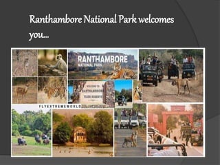 Ranthambore National Park welcomes
you…
 