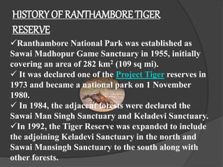 HISTORY OF RANTHAMBORE TIGER
RESERVE
Ranthambore National Park was established as
Sawai Madhopur Game Sanctuary in 1955, initially
covering an area of 282 km2 (109 sq mi).
 It was declared one of the Project Tiger reserves in
1973 and became a national park on 1 November
1980.
 In 1984, the adjacent forests were declared the
Sawai Man Singh Sanctuary and Keladevi Sanctuary.
In 1992, the Tiger Reserve was expanded to include
the adjoining Keladevi Sanctuary in the north and
Sawai Mansingh Sanctuary to the south along with
other forests.
 
