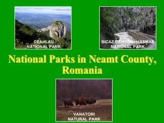 CEAHLAU NATIONAL PARK BICAZ CANYON - HASMAS NATIONAL PARK VANATORI NATURAL PARK National Parks in Neamt County, Romania 