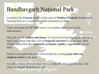 Bandhavgarh National Park
Located in the Umaria district of the state of Madhya Pradesh Bandhavgarh
National Park is a wonderful wildlife destination in India.
Tigers dominate the 437 km² reserve in numbers rarely seen on the
subcontinent.
The park is rich its flora and fauna. It is known for housing big population of
tigers and Along with that, a lot of leopards and deer's can be seen. other
wildlife attractions like mammals, avifauna, reptiles, vegetations, etc are
there.
Tourists can explore the park conveniently by exciting jeep safari or
elephant safari in the park.
As with so many other national parks in India, Bandhavgarh also has a fair
share of cultural attractions as well.
 