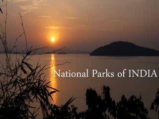 National Parks of INDIA
 