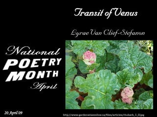 Transit of Venus
                   Lyrae Van Clief-Stefanon




20 April 09   http://www.gardenwiseonline.ca/files/articles/rhubarb_1_0.jpg
 