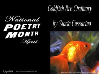 Goldfish Are Ordinary  
                                                   by Stacie Cassarino




5 April 09   http://www.poets.org/poemADay.php
                                                       http://www.aqua-fish.net/imgs/articles/goldfish3.jpg
 