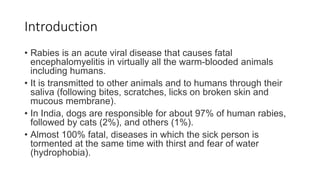 Rabies - lecture | PPTX