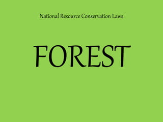 National Resource Conservation Laws
FOREST
 