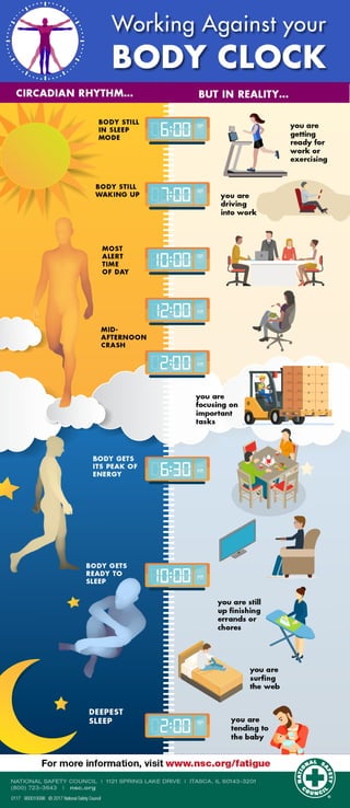 Body Clock Poster Working Against Your Body Clock - National Safety Council | PDF