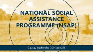 NATIONAL SOCIAL
ASSISTANCE
PROGRAMME (NSAP)
1
 