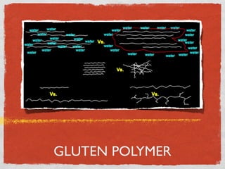 GLUTEN POLYMER
 