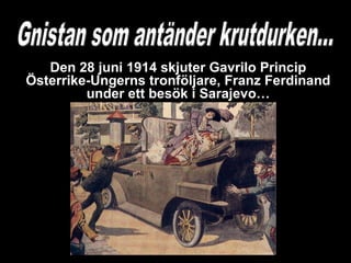 Den 28 juni 1914 skjuter Gavrilo Princip
Österrike-Ungerns tronföljare, Franz Ferdinand
under ett besök i Sarajevo…
 