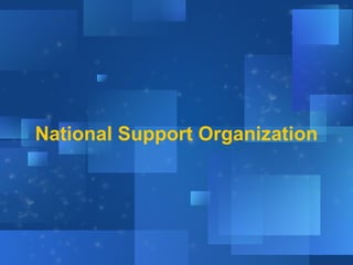 National Support Organization

 