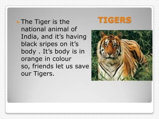    The Tiger is the          TIGERS
    national animal of
    India, and it’s having
    black sripes on it’s
    body ....