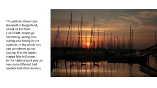 This picture shows Lake
Neusiedl in Burgenland,
about 30 km from
Eisenstadt. People go
swimming, sailing, kite-
surfing and fishing in the
summer. In the winter you
can sometimes go ice-
skating. It is the largest
steppe lake in Europe.
In the national park you can
see many different bird
species and other animals.
 