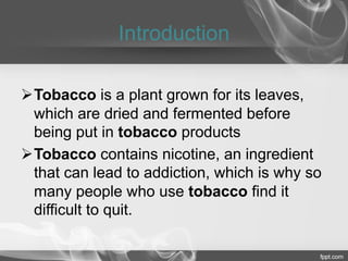organically grown tobacco Harvest is done! We have filled up our barn with beautiful organically grown  broadleaf tobacco. It's going to cure in our historic (150 year old!)  tobacco barn and then be bundled and