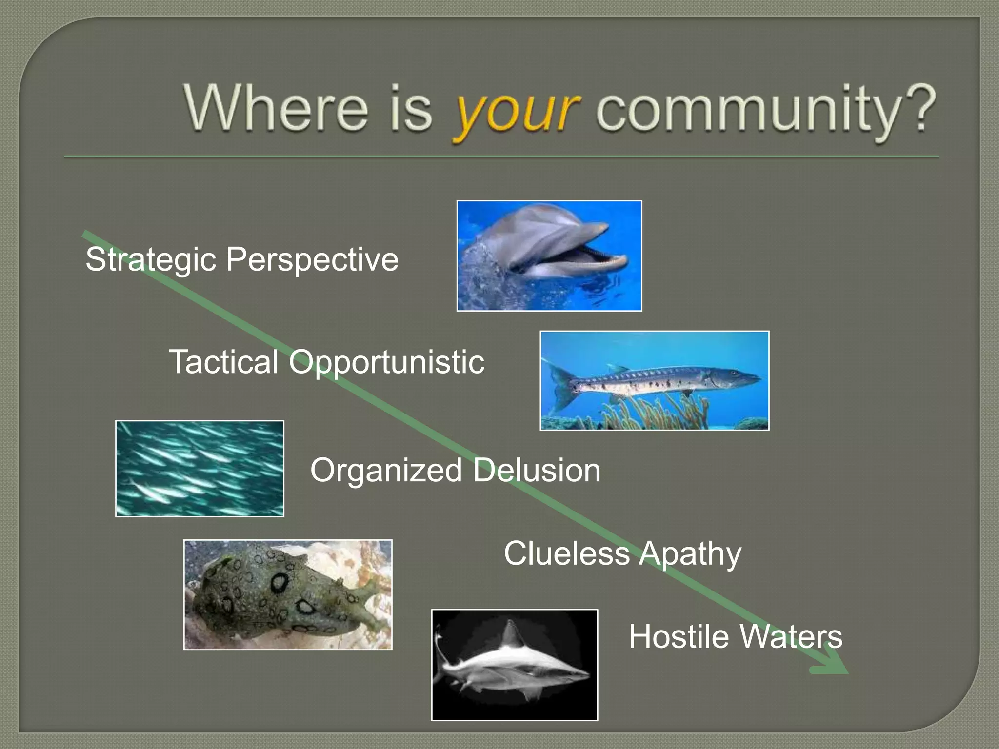 Strategic Perspective


     Tactical Opportunistic


               Organized Delusion

                              Clueless Apathy

                                     Hostile Waters
 