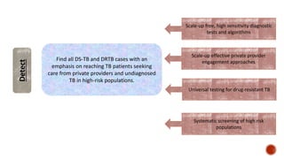 Detect
Find all DS-TB and DRTB cases with an
emphasis on reaching TB patients seeking
care from private providers and undiagnosed
TB in high-risk populations.
Scale-up free, high sensitivity diagnostic
tests and algorithms
Scale-up effective private provider
engagement approaches
Universal testing for drug-resistant TB
Systematic screening of high risk
populations
 