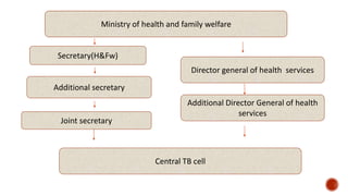 Ministry of health and family welfare
Secretary(H&Fw)
Director general of health services
Additional secretary
Additional Director General of health
services
Joint secretary
Central TB cell
 