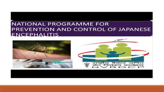 Dvbd NATIONAL VECTOR BORNE DISEASE CONTROL PROGAMME.pptx