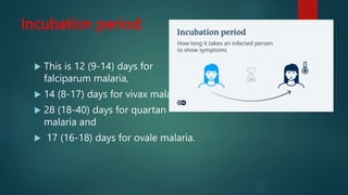 Incubation period:
 This is 12 (9-14) days for
falciparum malaria,
 14 (8-17) days for vivax malaria,
 28 (18-40) days for quartan
malaria and
 17 (16-18) days for ovale malaria.
 