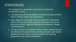 STRATERGIES
The strategies for prevention and control of Japanese
encephalitis include -
 strengthening of the surveillance activities through sentinel
sites in tertiary health care institutions,
 early diagnosis and proper case management, integrated
vector control, particularly personal protection and use of
larvivorous fishes, capacity building and behaviour change
communication.
 As the JE vectors are outdoor resters, indoor residual spray is
not effective. The government of India provides need-based
assistance to the states, including support for training
programme and social mobilization.
 
