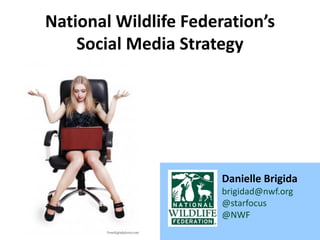 National Wildlife Federation’s
    Social Media Strategy




                       Danielle Brigida
                       brigidad@nwf.org
                       @starfocus
                       @NWF
 