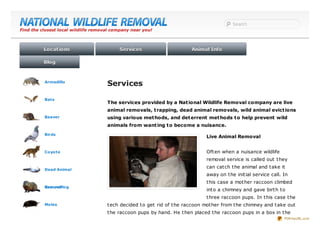 Search
Find the closest local wildlife removal company near you!



          Locat ions                      Services                       Animal Info

          Blog



          Armadillo
                                     Services
          Bats
                                     The services provided by a Nat ional Wildlife Removal company are live
                                     animal removals, t rapping, dead animal removals, wild animal evict ions
          Beaver                     using various met hods, and det errent met hods t o help prevent wild
                                     animals from want ing t o become a nuisance.
          Birds
                                                                               Live Animal Removal


          Coyote                                                               Oft en when a nuisance wildlife
                                                                               removal service is called out t hey
                                                                               can cat ch t he animal and t ake it
          Dead Animal
                                                                               away on t he init ial service call. In
                                                                               t his case a mot her raccoon climbed
          Groundhog
          Removal
                                                                               int o a chimney and gave birt h t o
                                                                               t hree raccoon pups. In t his case t he
          Moles                      t ech decided t o get rid of t he raccoon mot her from t he chimney and t ake out
                                     t he raccoon pups by hand. He t hen placed t he raccoon pups in a box in t he
                                                                                                                   PDFmyURL.com
 