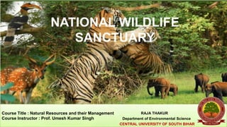NATIONAL WILDLIFE
SANCTUARY
RAJA THAKUR
Department of Environmental Science
CENTRAL UNIVERSITY OF SOUTH BIHAR
Course Title : Natural Resources and their Management
Course Instructor : Prof. Umesh Kumar Singh
 