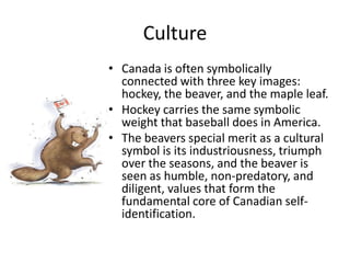 CultureCanada is often symbolically connected with three key images: hockey, the beaver, and the maple leaf.Hockey carries the same symbolic weight that baseball does in America.The beavers special merit as a cultural symbol is its industriousness, triumph over the seasons, and the beaver is seen as humble, non-predatory, and diligent, values that form the fundamental core of Canadian self-identification.