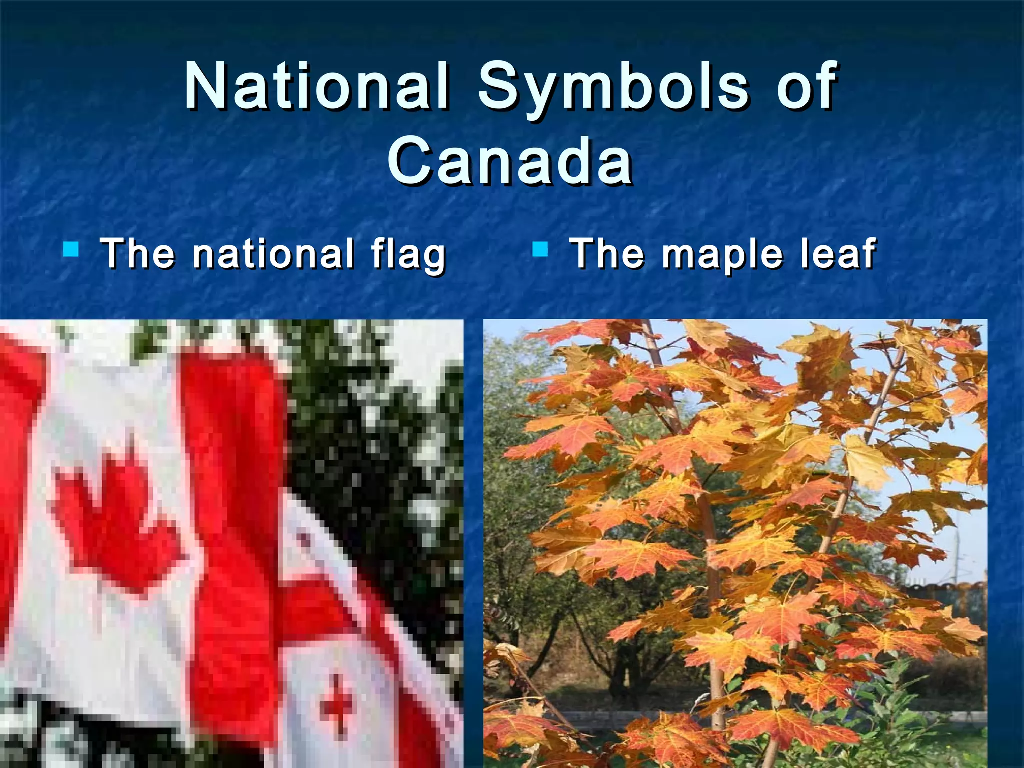 National Symbols ofNational Symbols of
CanadaCanada
The national flagThe national flag The maple leafThe maple leaf
