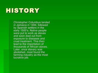 HISTORY Christopher Columbus landed in Jamaica in 1494, followed by Spanish settlers in the early 1500’s. Native people were put to work as slaves and soon died out from exposure to diseases and cruel treatment. This then lead to the importation of thousands of African slaves. Later, once slavery was abolished, most found the farming industry as the most lucrative job. 