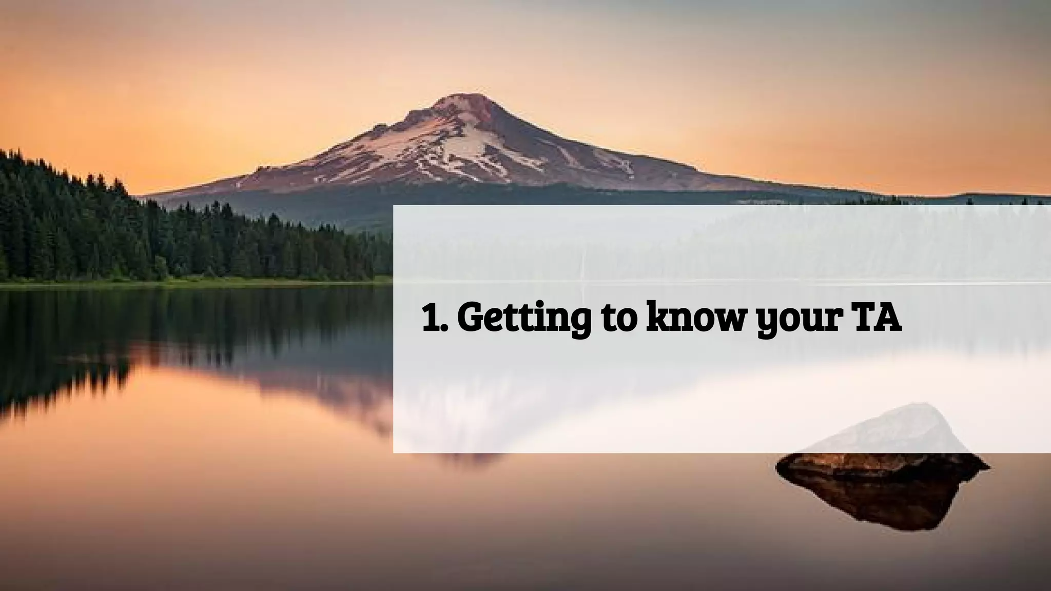 1. Getting to know your TA
 
