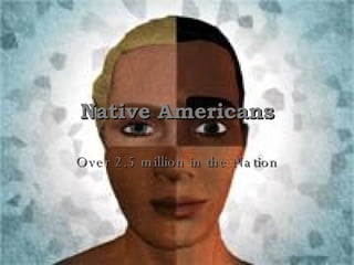 Native Americans Over 2.5 million in the Nation 